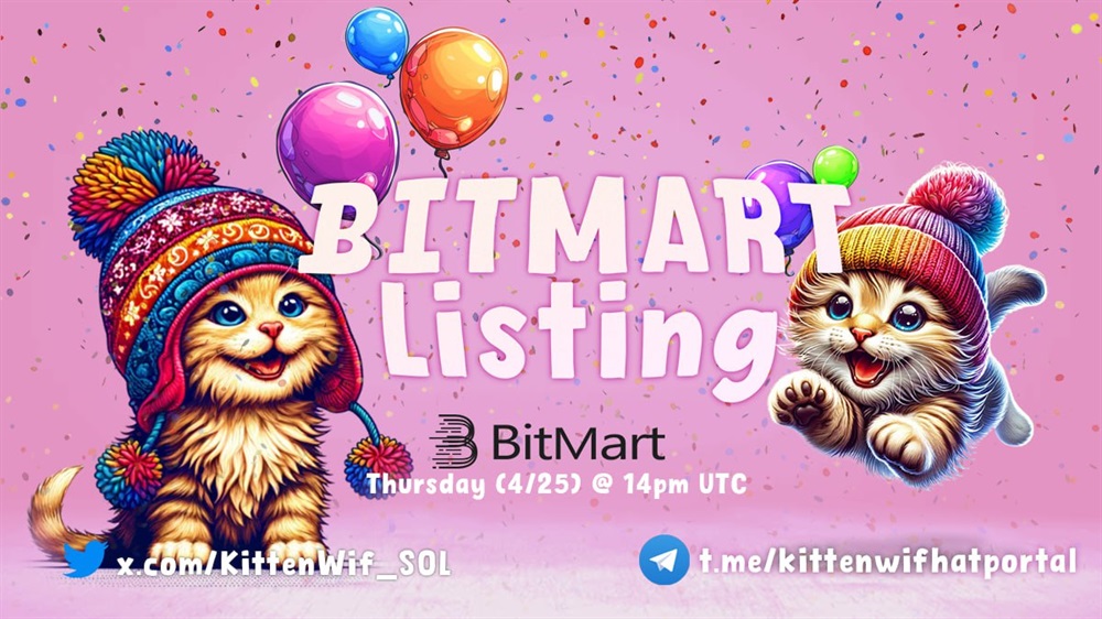 kittenwifhat d8afd8b1 25 d8a2d988d8b1db8cd984 d8afd8b1 bitmart d981d987d8b1d8b3d8aa d985db8c d8b4d988d8af 6629b62e283e1